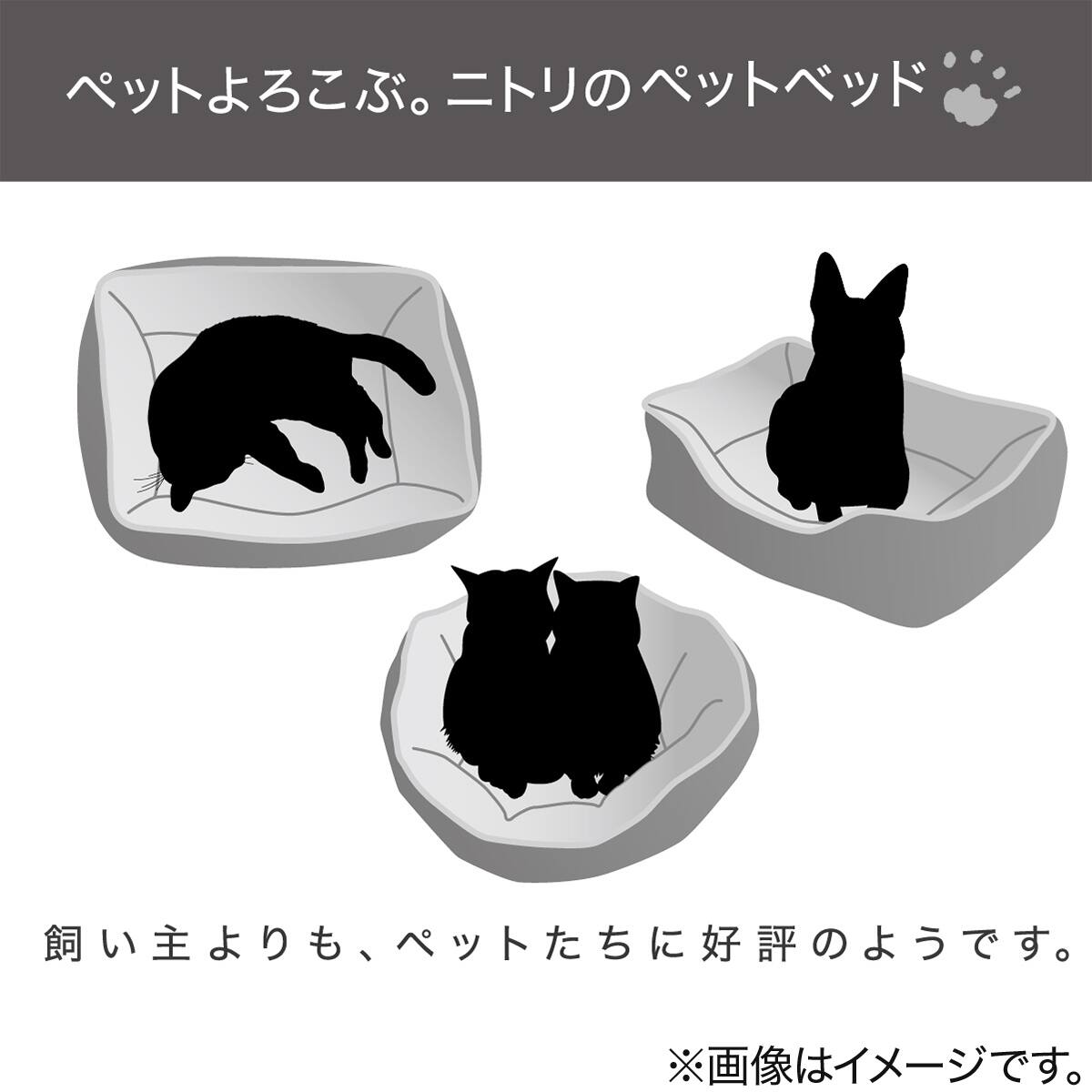 犬 猫用ペットベッド ジェノア O マル 通販 ニトリネット 公式 家具 インテリア通販