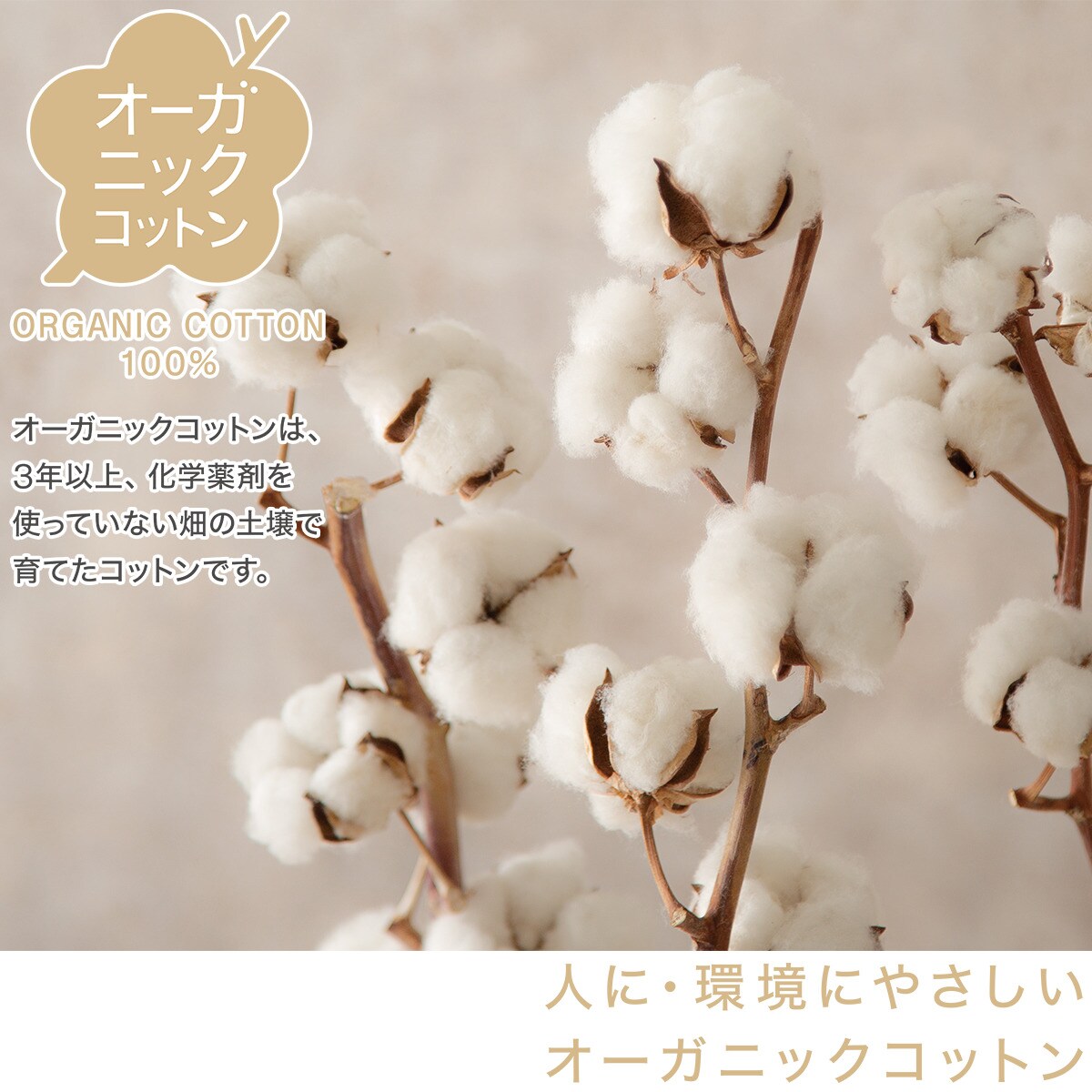 ゴムバンド付き敷きパッド シングル(オーガニックコットン GY S)通販 | ニトリネット【公式】 家具・インテリア通販