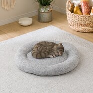 ペットと暮らす ペットグッズ特集 ニトリネット 公式 家具 インテリア通販 ペットと暮らす ペットグッズ特集 ニトリネット 公式 家具 インテリア通販