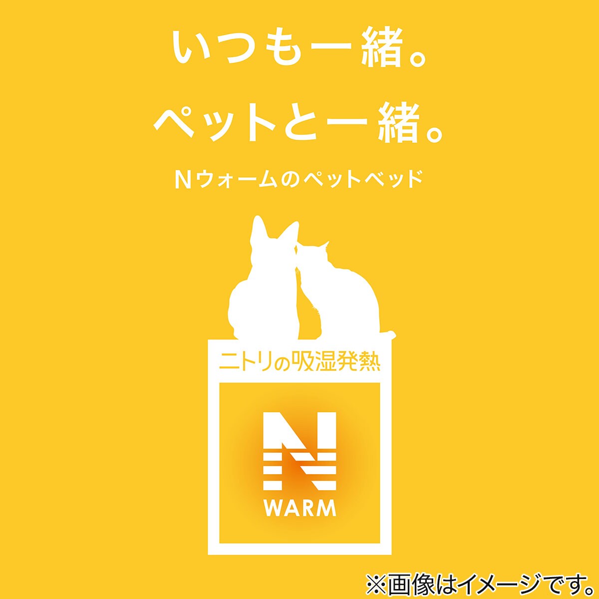 ペットベッド Nウォーム I Nスターマル 通販 ニトリネット 公式 家具 インテリア通販 ペットベッド Nウォーム I Nスターマル 通販 ニトリネット 公式 家具 インテリア通販