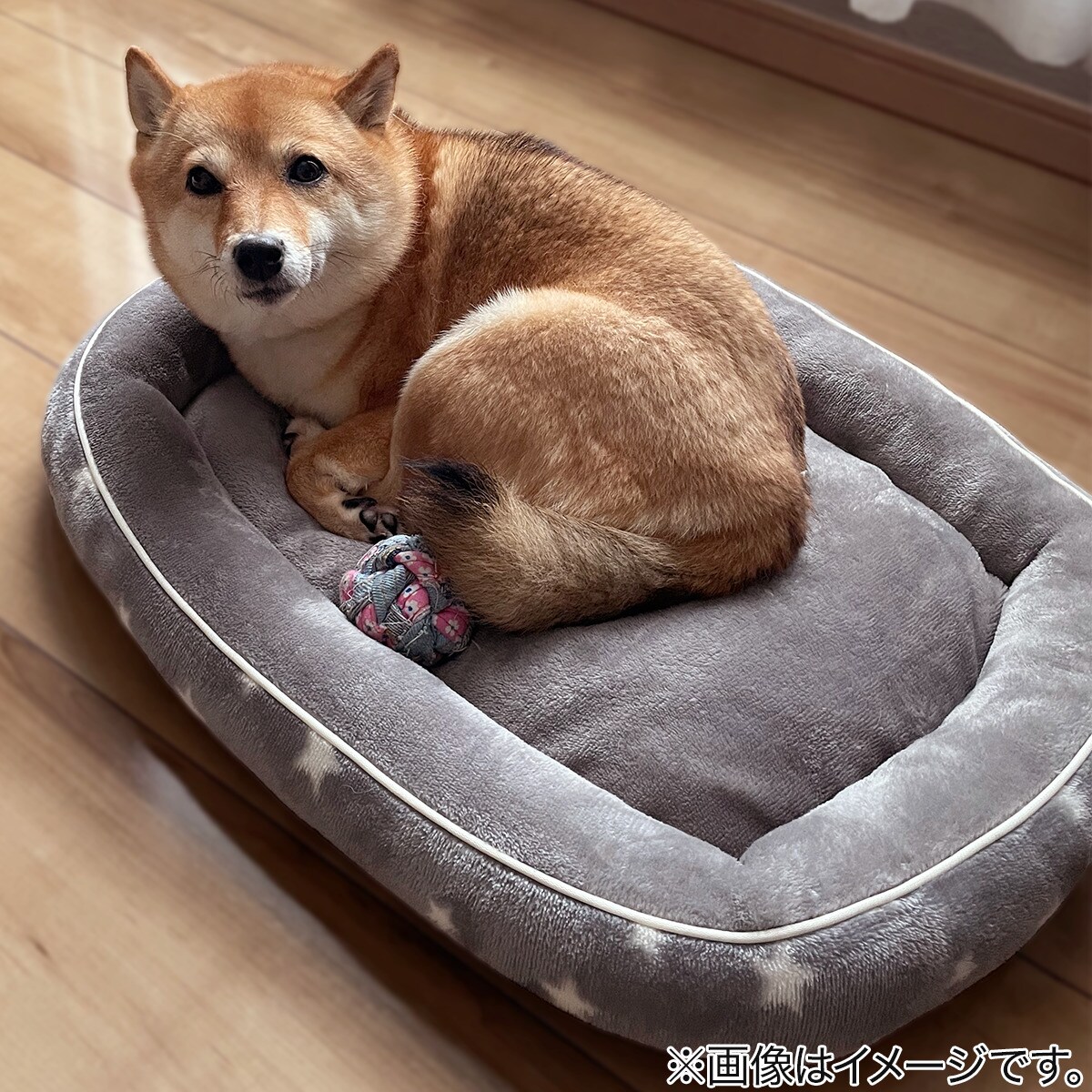 ペットベッド Ｌ(Nウォーム i-nスターシカクL)通販 | ニトリネット【公式】 家具・インテリア通販