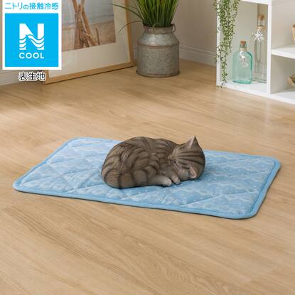 ペット敷きパッド Nクール I N ジオbl 通販 ニトリネット 公式 家具 インテリア通販