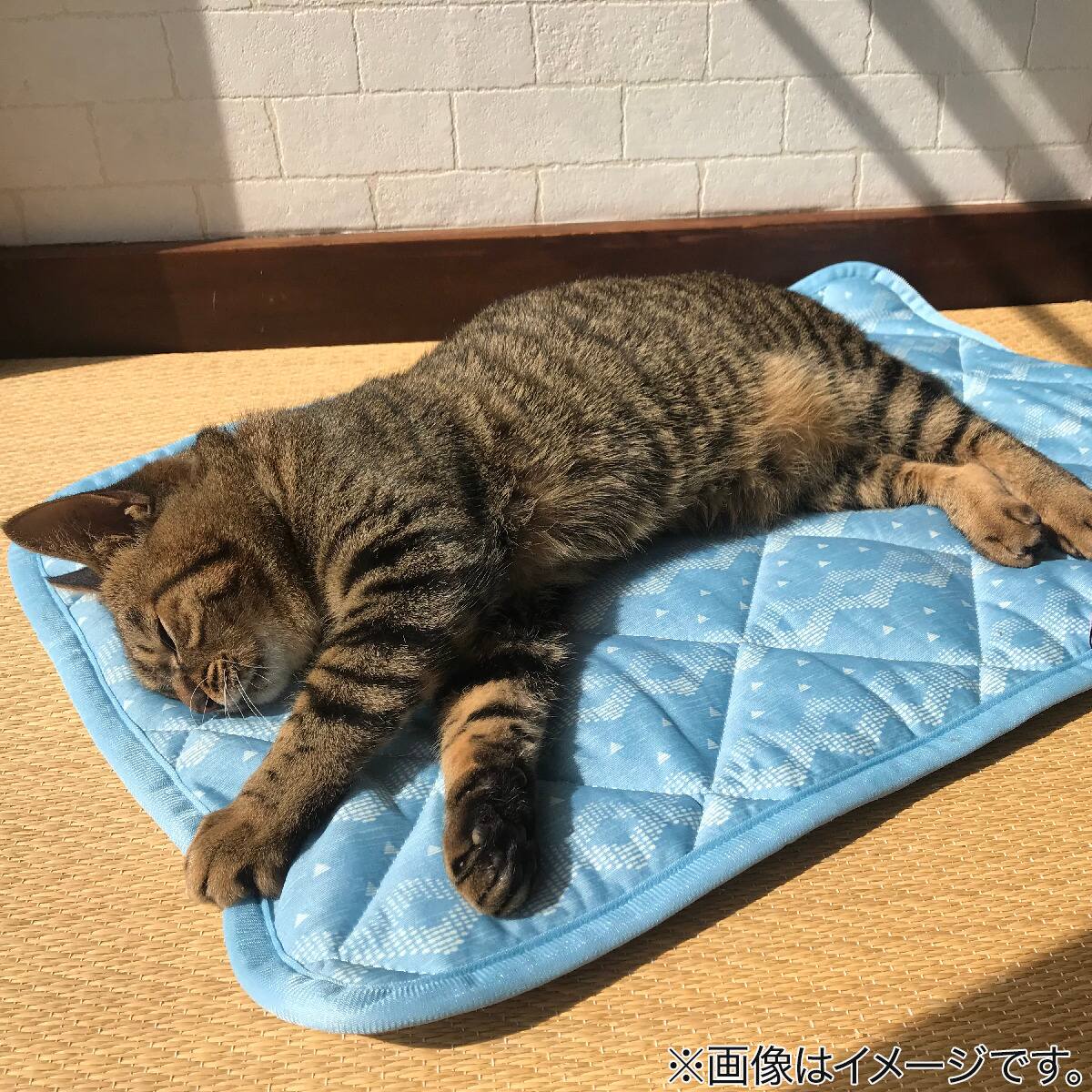 ペット敷きパッド Nクール I N ジオbl 通販 ニトリネット 公式 家具 インテリア通販