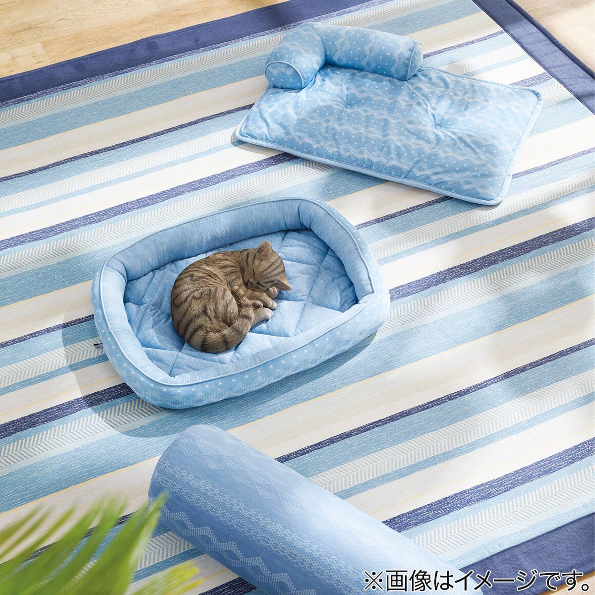 ペットごろ寝マット Nクールi N ジオbl 通販 ニトリネット 公式 家具 インテリア通販
