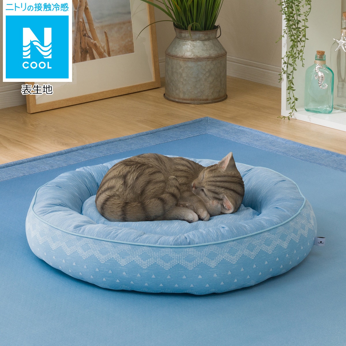 ニトリ ペットベッド m Nクールi Nマルジオbl M のレビュー 口コミとして参考になる投稿1枚 Roomclip ルームクリップ ニトリ ペットベッド m Nクールi Nマルジオbl M のレビュー 口コミとして参考になる投稿1枚 Roomclip ルームクリップ