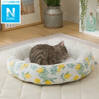 犬用ベッド ニトリネット 公式 家具 インテリア通販