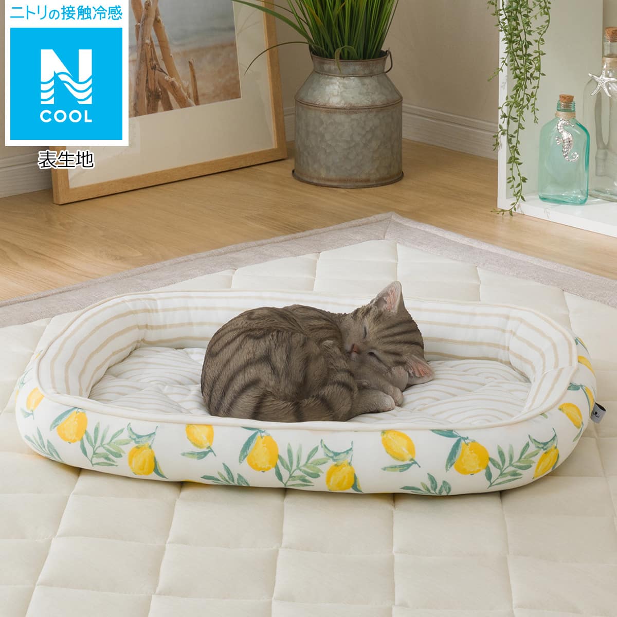 ペットベッド Nクール I Nシカク レモン 通販 ニトリネット 公式 家具 インテリア通販 ペットベッド Nクール I Nシカク レモン 通販 ニトリネット 公式 家具 インテリア通販