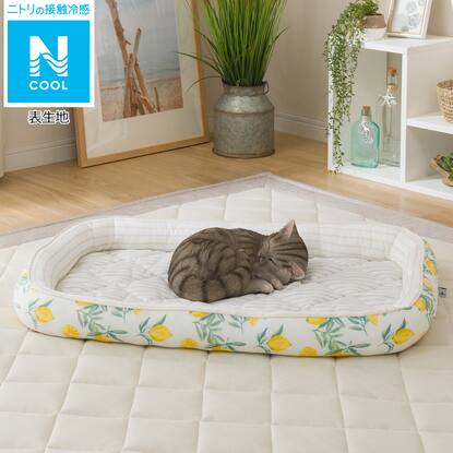 ペットベッド ｌ Nクール I Nシカク レモン L 通販 ニトリネット 公式 家具 インテリア通販