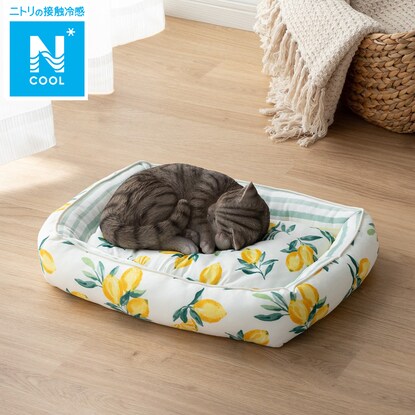 ペットベッド Nクールレモンn S シカク 通販 ニトリネット 公式 家具 インテリア通販
