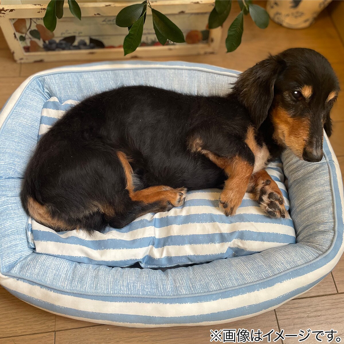 ペットベッド(NクールSP n-s シカク)通販 | ニトリネット【公式】 家具・インテリア通販