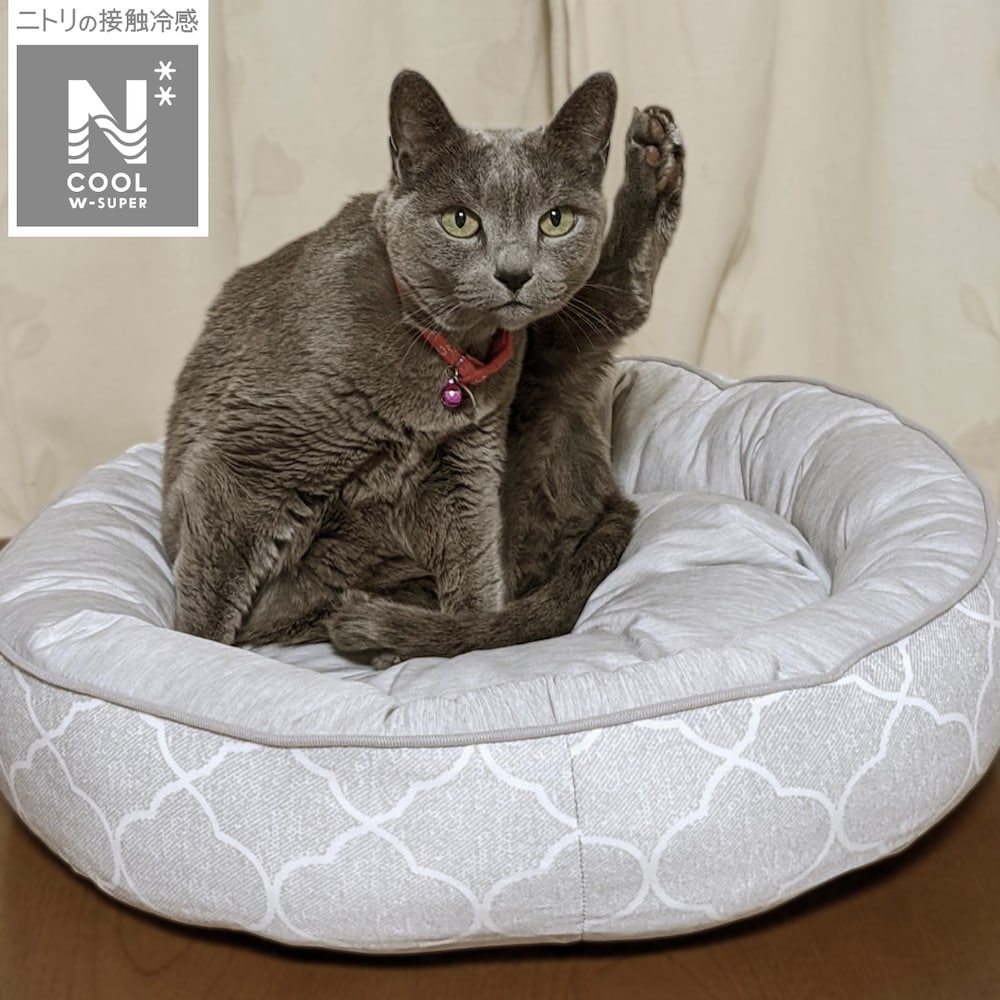 ペットベッド 寝具通販 ニトリネット 公式 家具 インテリア通販 ペットベッド 寝具通販 ニトリネット 公式 家具 インテリア通販