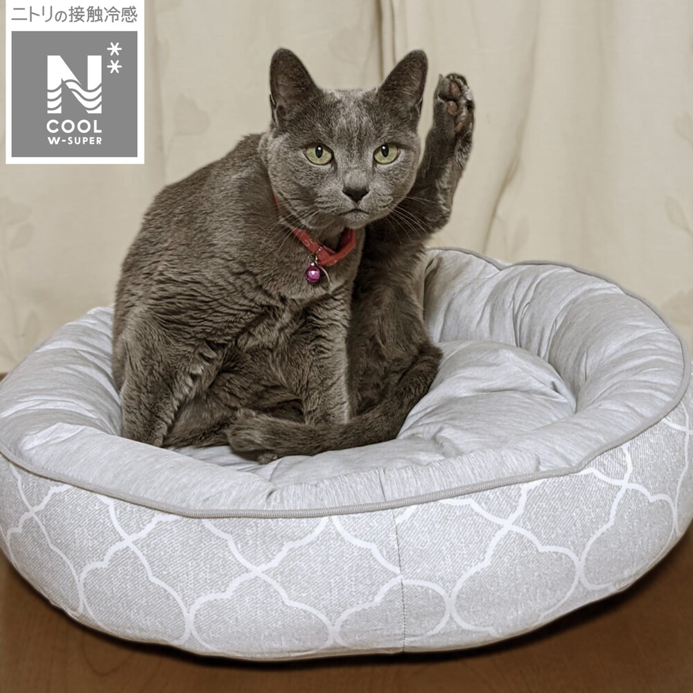 ペット ベッド Nクール検索結果 ニトリネット 公式 家具 インテリア通販