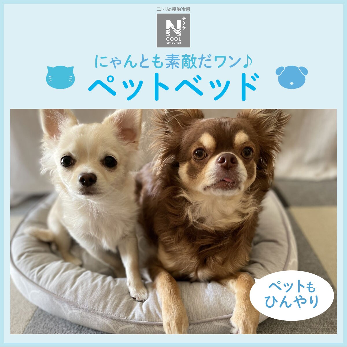 ペットベッド m Nクールwspn S シカクm 通販 ニトリネット 公式 家具 インテリア通販 ペットベッド m Nクールwspn S シカクm 通販 ニトリネット 公式 家具 インテリア通販