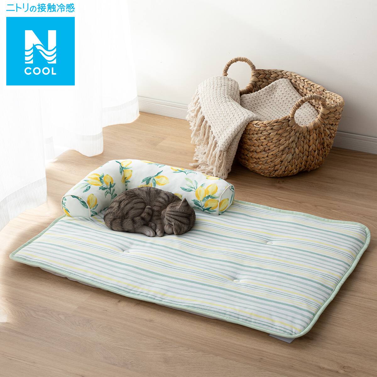 ペットごろ寝マット ｌ Nクールレモン N S L 通販 ニトリネット 公式 家具 インテリア通販