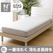 ＢＯＸパッド(NクールWSP S2303)