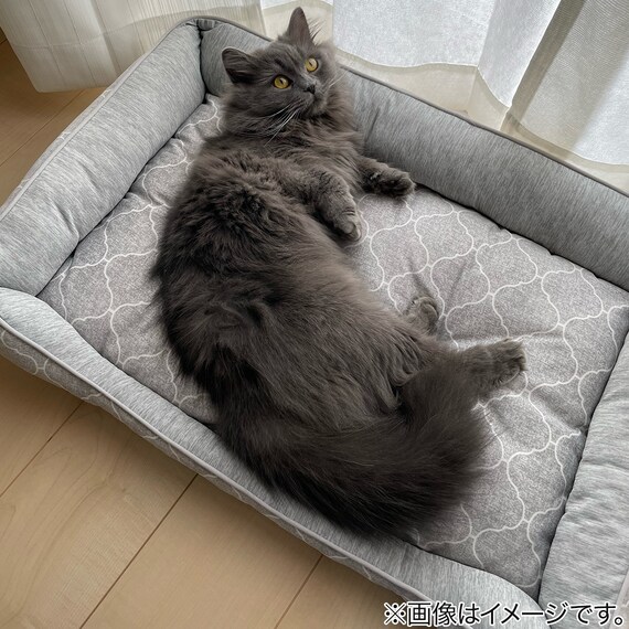 ペットベッド L(NクールWSP シカクL S233) 11枚目画像