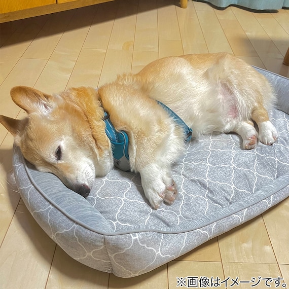 ペットベッド L(NクールWSP シカクL S233) 15枚目画像