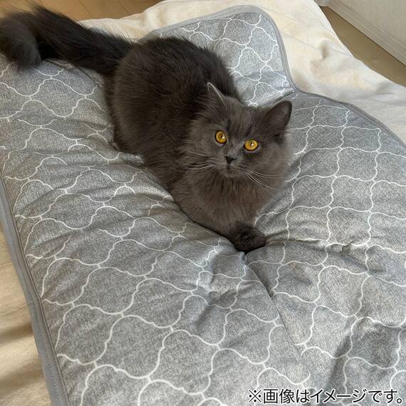 ペット敷きパッド L(NクールWSP L S233) 9枚目画像