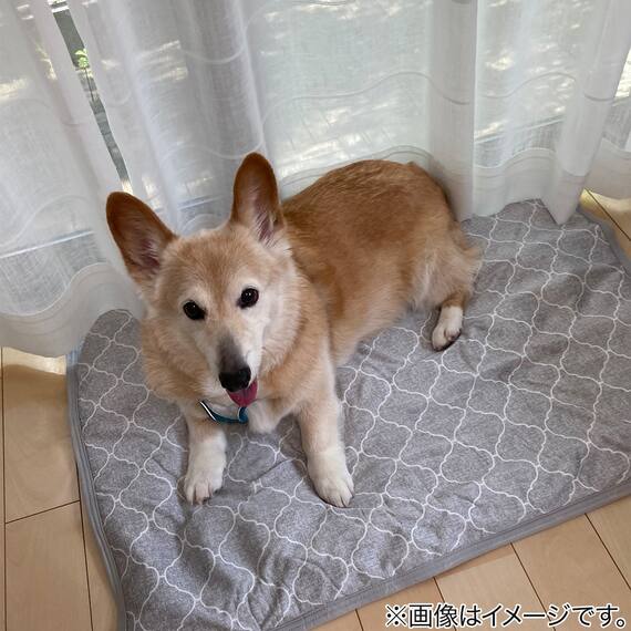 ペット敷きパッド L(NクールWSP L S233) 10枚目画像