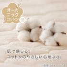 BOXパッド オーガニックコットン混 セミダブル(OG2 SD ベージュ T01 NF) 2枚目画像