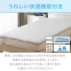 両面使える ゴムバンド付き 敷パッド セミダブル(Nクール SD ポーラーベア S2401) 9枚目画像