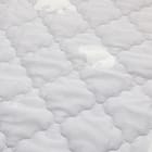 両面使える ゴムバンド付き 敷パッド セミダブル(Nクール SD ポーラーベア S2401) 15枚目画像