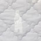 両面使える ゴムバンド付き 敷パッド セミダブル(Nクール SD ポーラーベア S2401) 19枚目画像