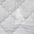 両面使える ゴムバンド付き 敷パッド セミダブル(Nクール SD ポーラーベア S2401) 20枚目画像