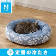 ペットベッド(Nクール マル S241)