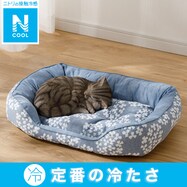 ペットベッド(Nクール シカク S241)
