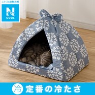 ペットドーム(Nクール S241)
