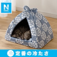 ペットドーム(Nクール S241)