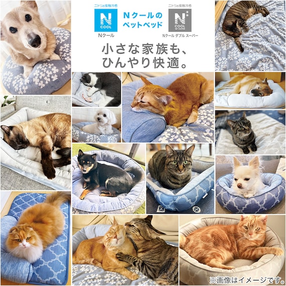 ペットベッド(Nクール S241) 4枚目画像