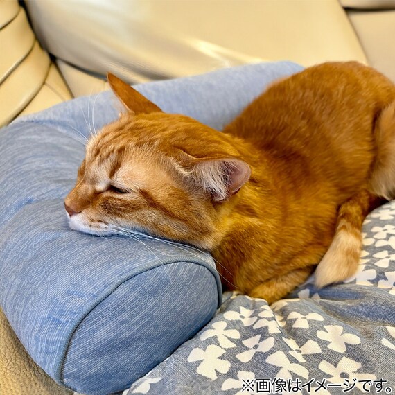 ペットごろ寝マット M(Nクール M S241) 2枚目画像