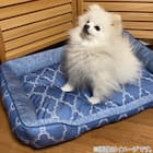 ペットベッド L(NクールWSP シカク L S243) 2枚目画像