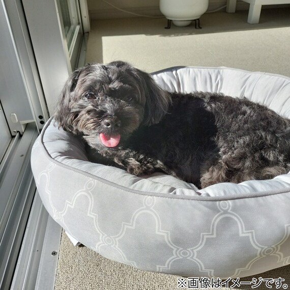 ペットベッド M(NクールWSP マル M S244) 2枚目画像