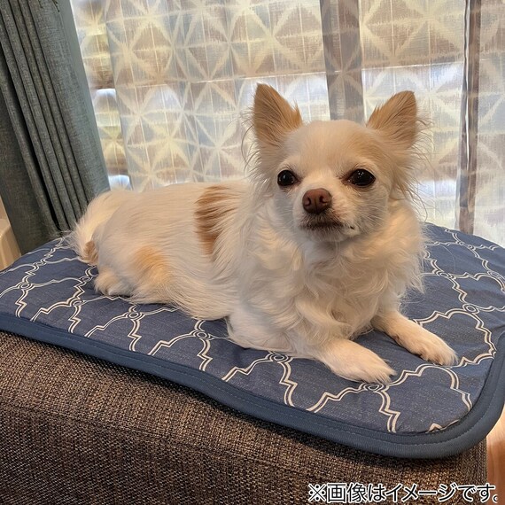 ペット敷パッド M(NクールWSP M S243) 2枚目画像