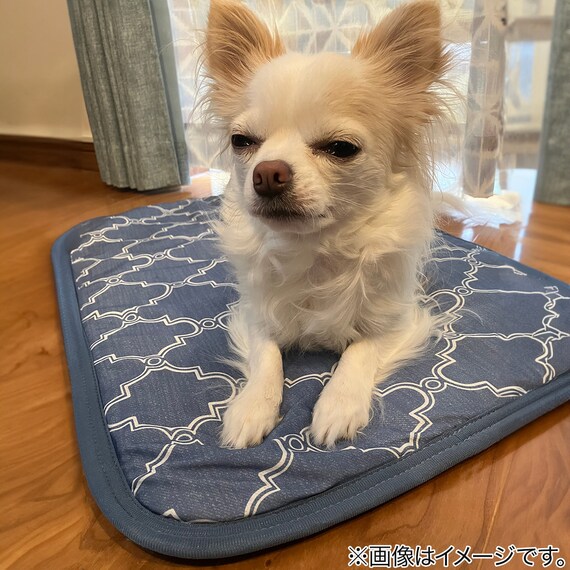 ペット敷パッド M(NクールWSP  M S243) 3枚目画像