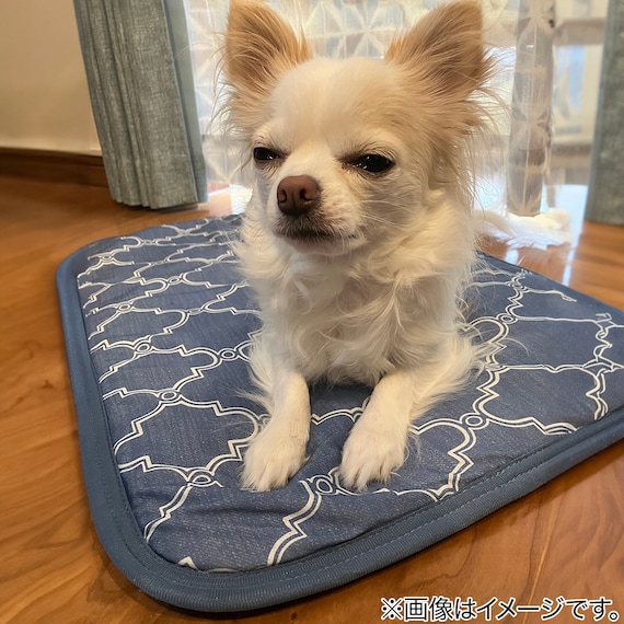 ペット敷パッド M(NクールWSP M S243) 3枚目画像