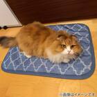 ペット敷パッド M(NクールWSP M S243) 4枚目画像