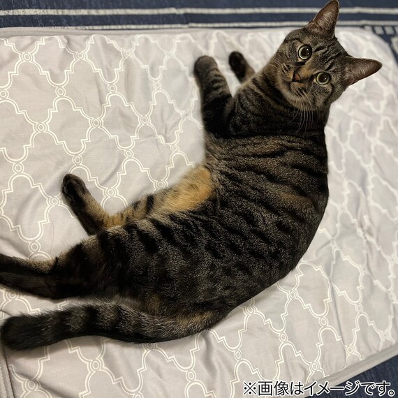 ペット敷パッド L(NクールWSP  L S244) 2枚目画像