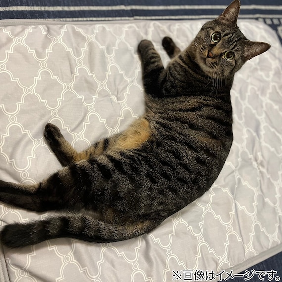 ペット敷パッド L(NクールWSP L S244) 2枚目画像