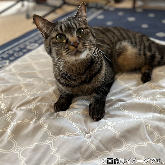 ペット敷パッド L(NクールWSP L S244) 3枚目画像