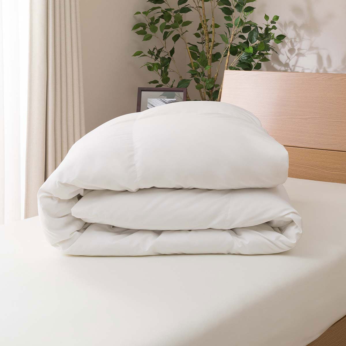 2枚合わせ羽毛掛ふとん Nt O2 通販 ニトリネット 公式 家具 インテリア通販