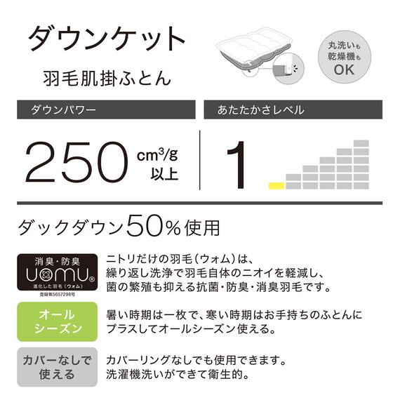 洗えるダウンケット シングル(K2401 GY S) 7枚目画像