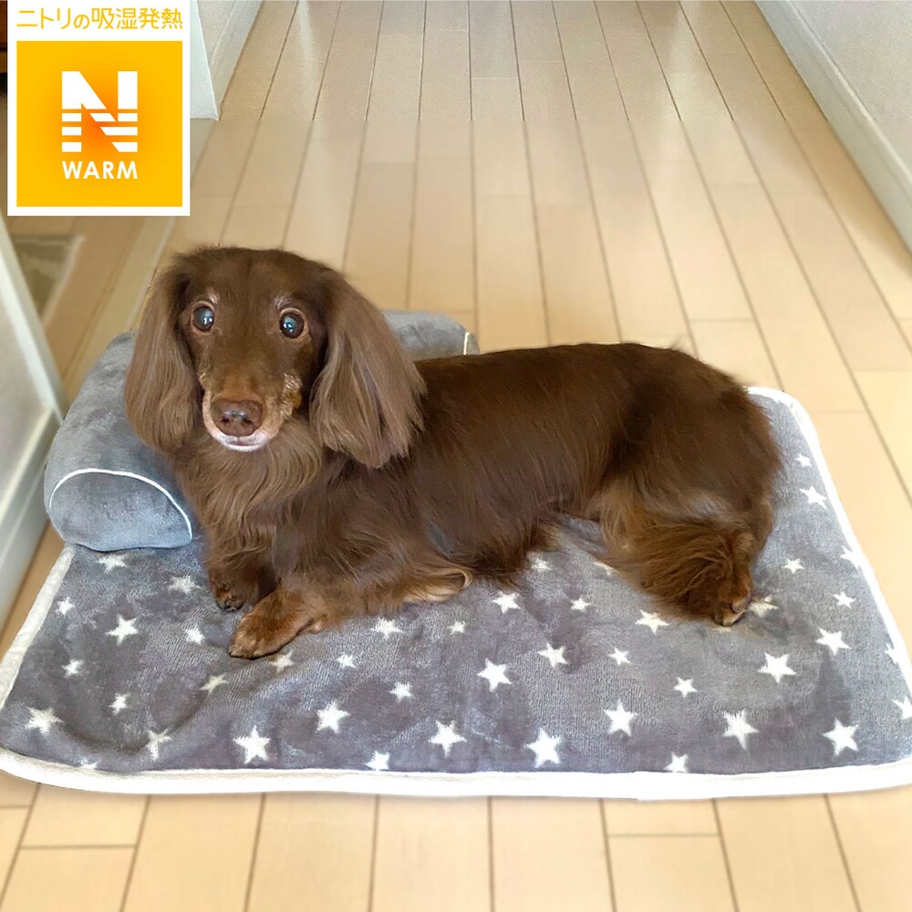 ペットベッド 寝具通販 ニトリネット 公式 家具 インテリア通販 ペットベッド 寝具通販 ニトリネット 公式 家具 インテリア通販
