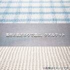 タオルケット　ダブル(フンワリコットン D GY S2334) 11枚目画像