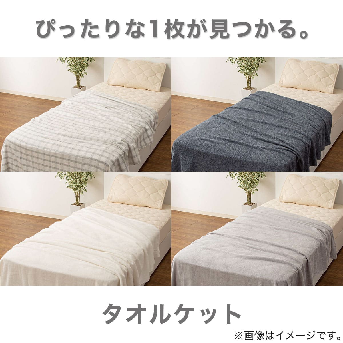 S3 pretti イタリア製　タオルケット　シングル タオルケット シングル(フンワリコットン S RO S2434) | ニトリネット