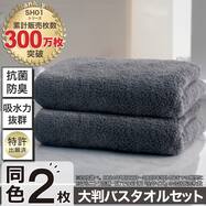 【2枚セット】吸水力抜群スーパーロングパイル 大判バスタオル SH01