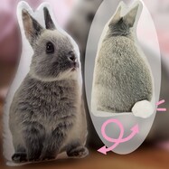 モチモチクッション キキ 通販 ニトリネット 公式 家具 インテリア通販 モチモチクッション キキ 通販 ニトリネット 公式 家具 インテリア通販